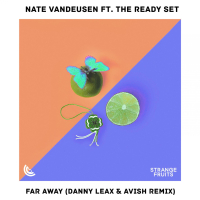 Far Away (Danny Leax & Avish Remix) (Single)