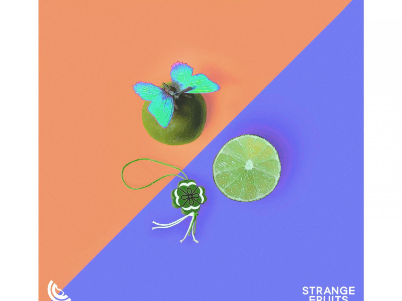 Far Away (Danny Leax & Avish Remix) (Single)