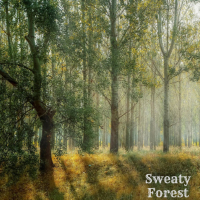 Sweaty Forest (Single)