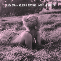 Million Reasons (Andrelli Remix) (Single)