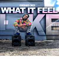 What It Feel Like (Single)