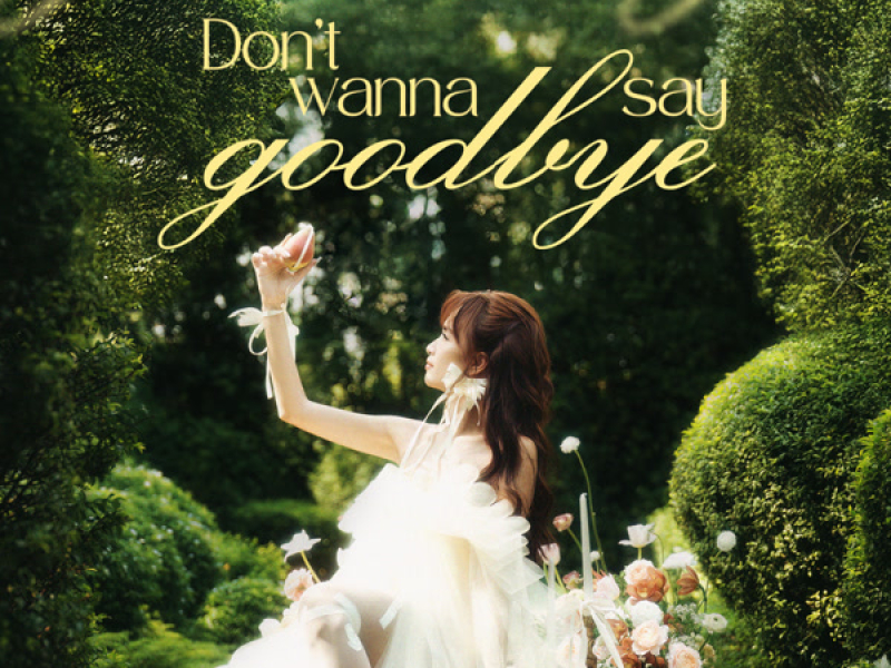 DON’T WANNA SAY GOODBYE (Special Version) (Single)