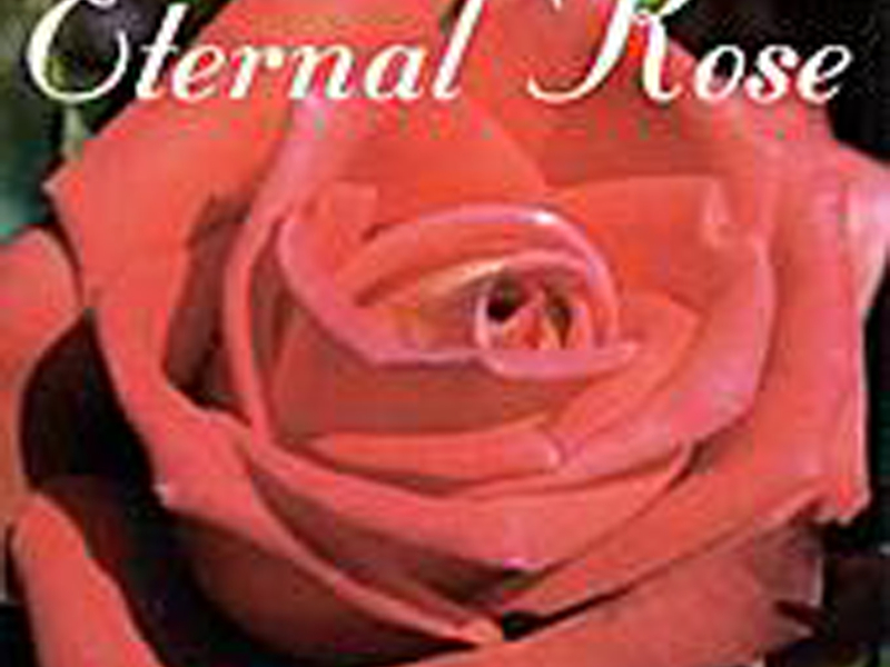 Eternal Rose