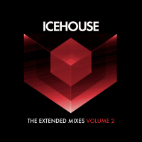 The Extended Mixes Vol. 2