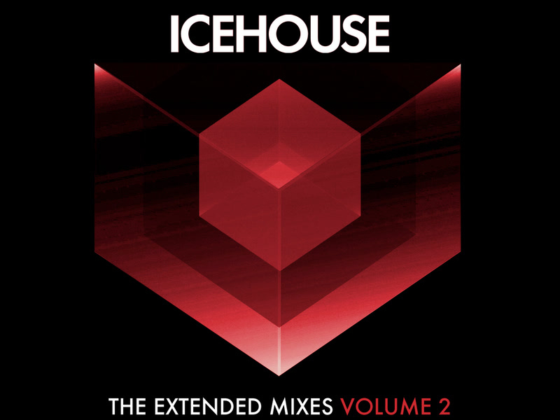 The Extended Mixes Vol. 2