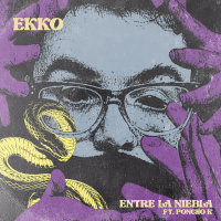 Entre la Niebla (Single)