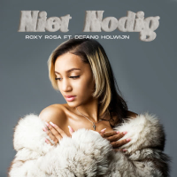 Niet Nodig (feat. Defano Holwijn) (Single)