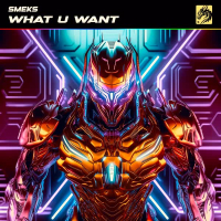 What U Want (Single)