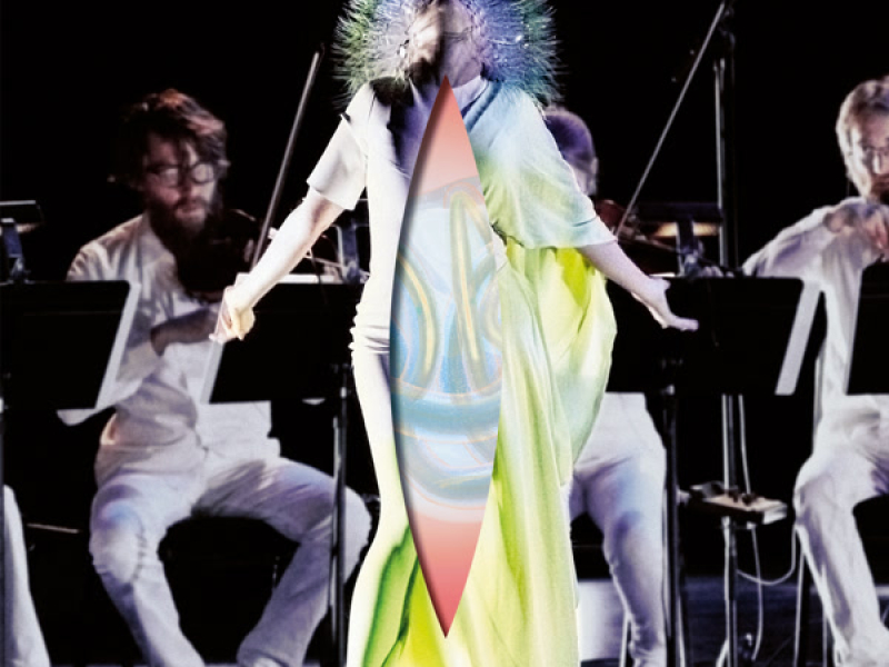 Vulnicura Strings (The Acoustic Version: Strings, Voice And Viola Organista Only)