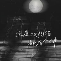 连屋顶阿猫都有个伴 (Single)