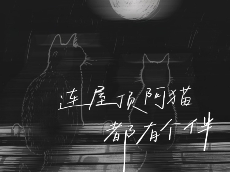 连屋顶阿猫都有个伴 (Single)
