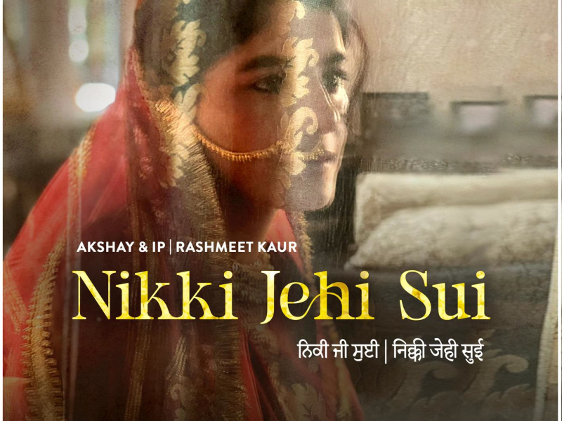 Nikki Jehi Sui (Single)