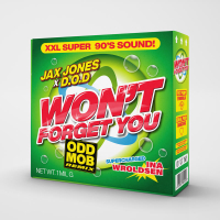 Won't Forget You (Odd Mob Remix) (Single)