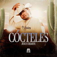 Cócteles (Single)