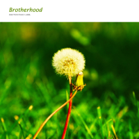Brotherhood (Single)