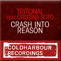 Crash Into Reason (Single)