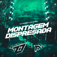 MONTAGEM DISPRESADA (Single)