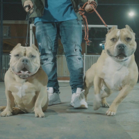 Ya Se Abrío La Puerta (feat. Ousiris) (Single)