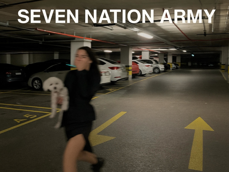 Seven Nation Army (Single)
