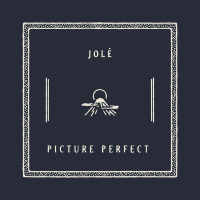 Picture Perfect (Single)
