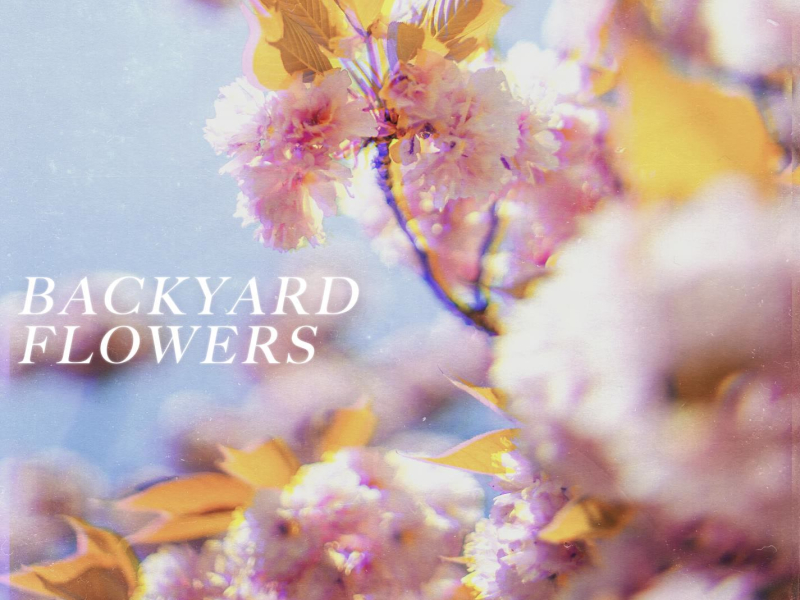 Backyard flowers (Single)
