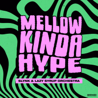 Mellow Kinda Hype (Single)