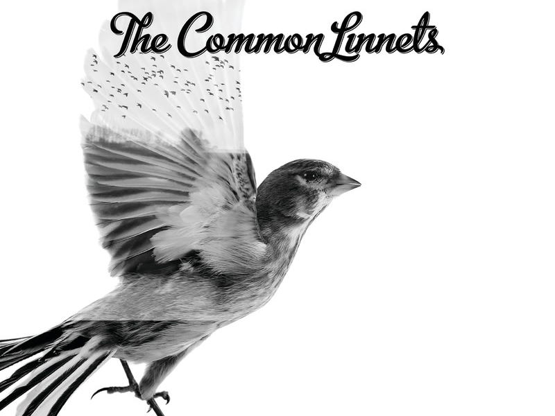 The Common Linnets (Special Edition)