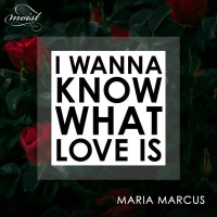 I Wanna Know What Love Is (Single)