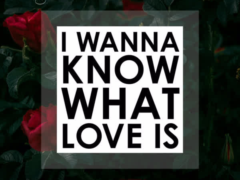 I Wanna Know What Love Is (Single)