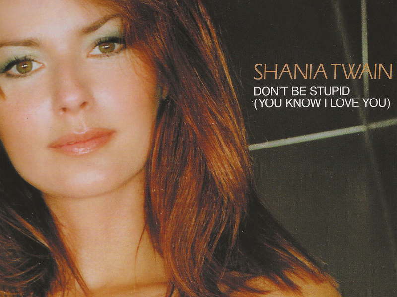 Don't Be Stupid (You Know I Love You) (Single)