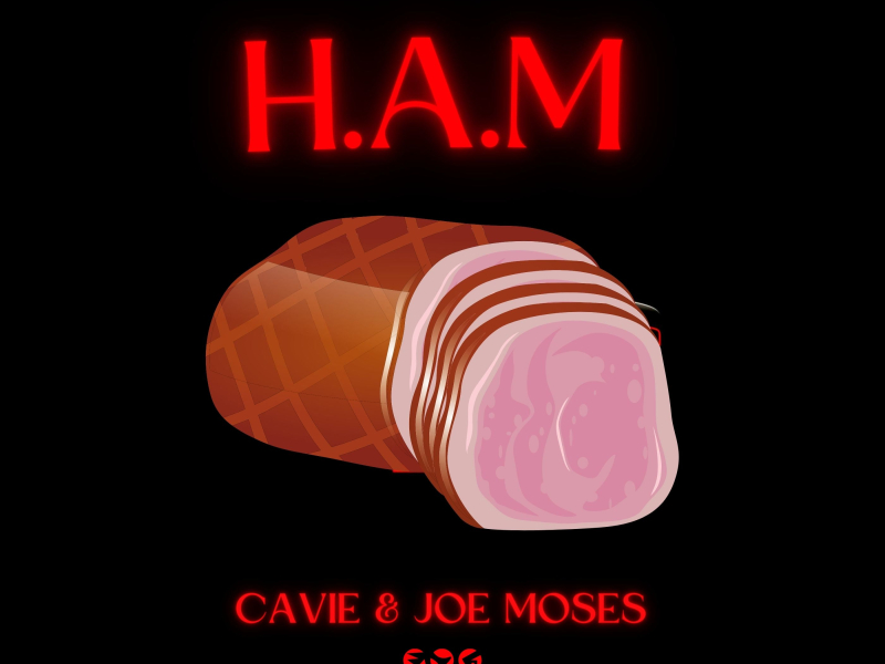 H.A.M (Single)