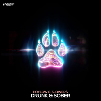 Drunk & Sober (Single)