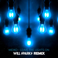 Leave The Lights On (Will Sparks Remix) (Single)