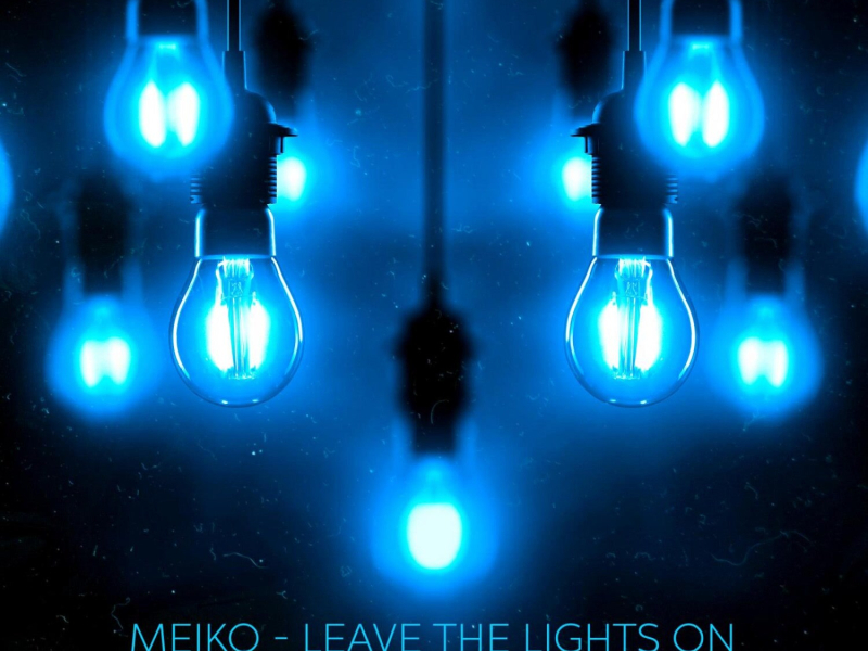 Leave The Lights On (Will Sparks Remix) (Single)