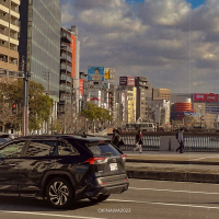 okinawa2023 (Single)