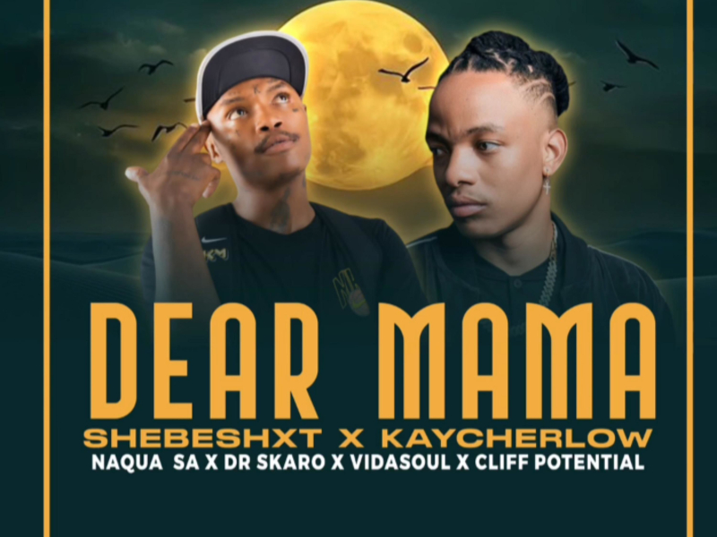 Dear Mama (feat. Dr Skaro, Cliff potential, Vida Soul & Naqua SA) (Single)