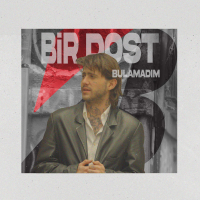 Bir Dost Bulamadım (Single)
