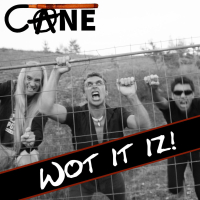 Wot It Iz (Single)