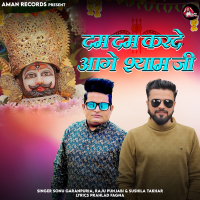 Dam Dam Karde Aage Shyam Ji (Single)