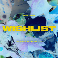 Wishlist (Spencer Ramsay DnB Flip) (Single)
