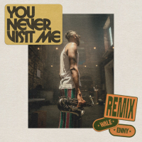 You Never Visit Me (Remix) (Single)