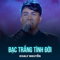 Bạc Trắng Tình Đời (Disco) (Single)