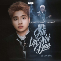 Giữ Lại Nỗi Đau (Melodiez Remix) (Single)