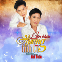 Liên Khúc Bolero Hương Tình Cũ