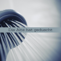 Die Alte Hat Geduscht (Single)