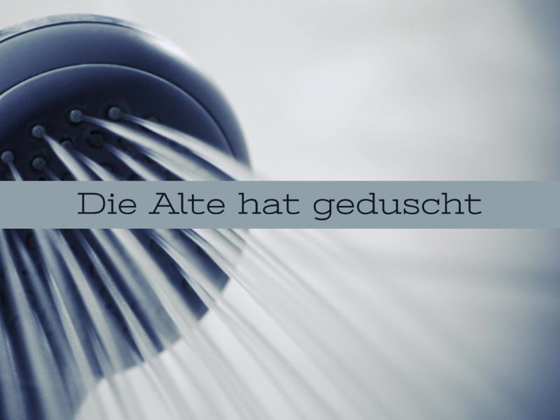 Die Alte Hat Geduscht (Single)