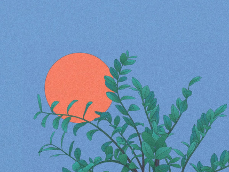 Sunday Swamp (Single)