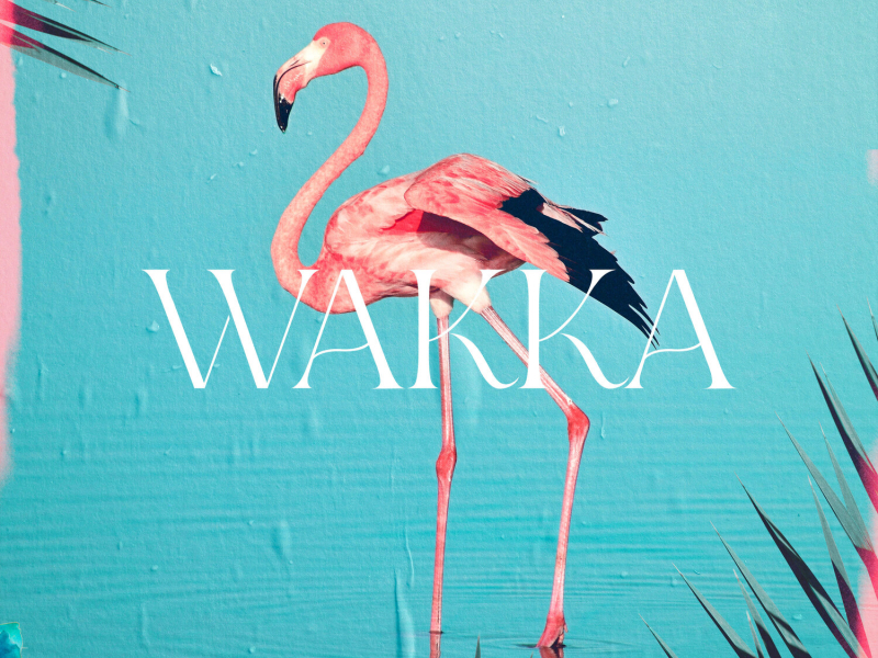 WAKKA (Single)