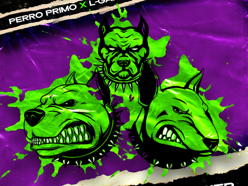 Pitbull Terrier Biry (Single)