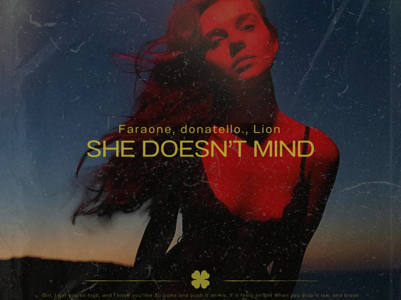 She Doesn't Mind (Afro House) (Single)